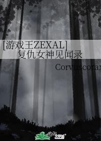 [游戏王ZEXAL]复仇女神见闻录