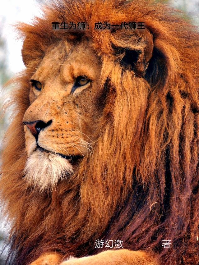 重生为狮：成为一代狮王